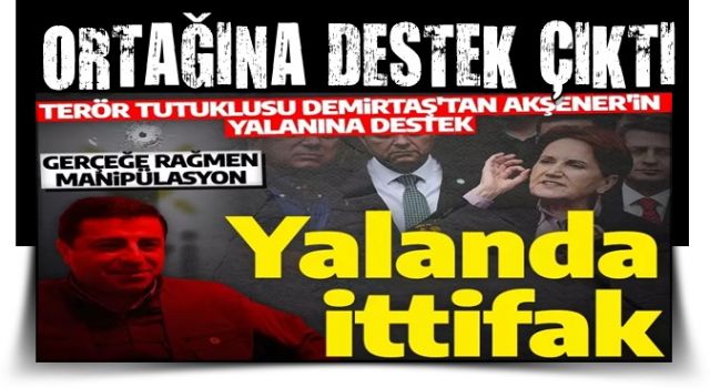 İttifak ortağı Demirtaş'tan Akşener'in 'kurşun' manipülasyonuna destek!