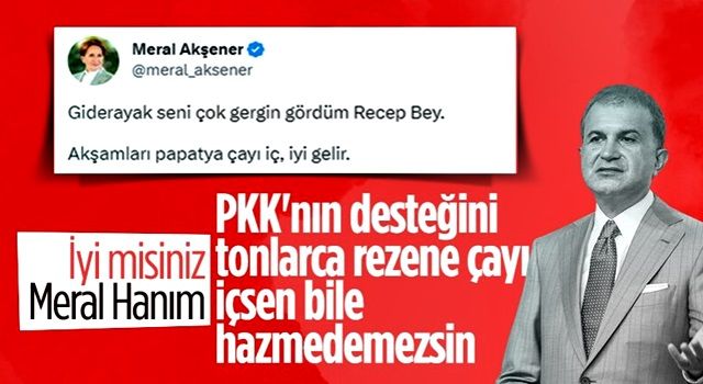 Ömer Çelik'ten Meral Akşener'e: PKK'nın desteğini tonlarca rezene çayı içerek bile hazmedemez