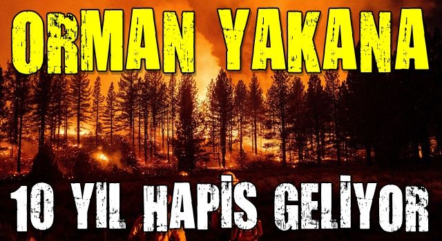 Orman yangınlarına neden olanlara 10 yıla kadar hapis cezası