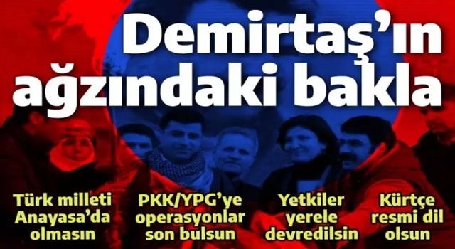 Selahattin Demirtaş'ın ağzındaki baklayı biz çıkaralım: İşte 11 maddelik bölücü plan