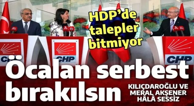 Teröristbaşı Öcalan serbest bırakılacak mı? CHP-HDP anlaşmasının en önemli maddesi