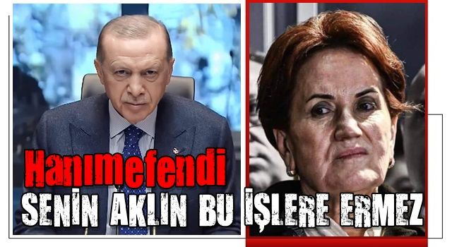 Erdoğan'dan Akşener'in papatya çayı önerisine cevap: Rezene iç!