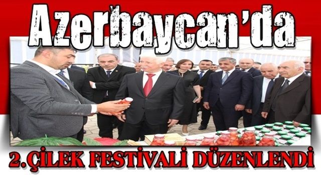 Azerbaycan'da ikinci Çilek Festivali düzenlendi