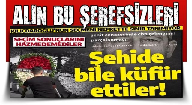 Kılıçdaroğlu'nun seçmeni nefrette sınır tanımıyor: Depremzedelerden sonra şimdi de şehide küfür ettiler!