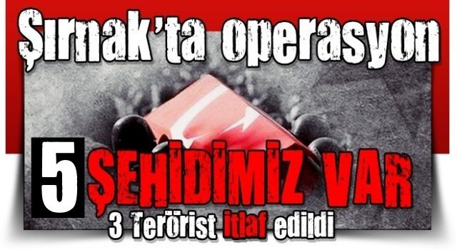 Şırnak'ta operasyon: 4 jandarmamız 1 korucumuz şehit oldu, 3 terörist öldürüldü