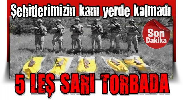 Son dakika: Şehitlerimizin kanı yerde kalmadı! 5 leş sarı torbada