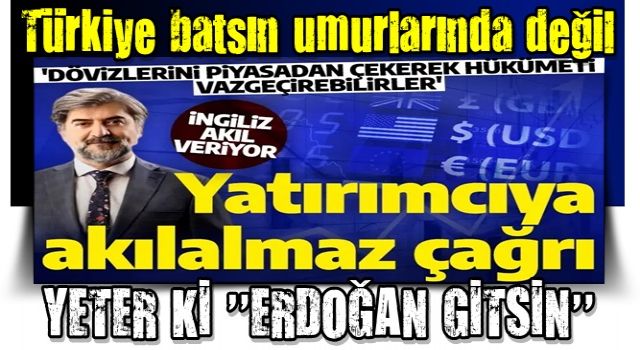 Sözde Akademisyenden yatırımcıya akılalmaz çağrı! 'Dövizlerini piyasadan çekerek hükümeti vazgeçirebilirler'