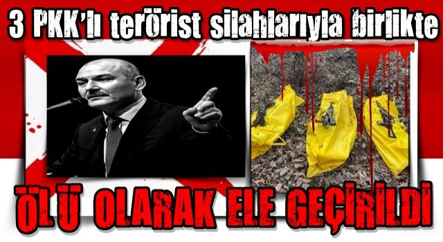 Bakan Soylu duyurdu: 3 PKK'lı terörist silahlarıyla birlikte ölü olarak ele geçirildi!