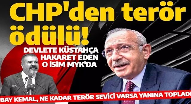 Devlete 'terörist' diyen Devrim Barış Çelik CHP'nin MYK listesinde