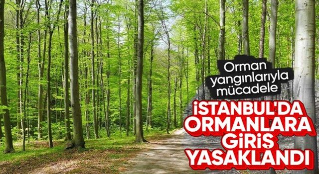 İstanbul Valiliği duyurdu: Ormanlık alanlara girişler yasaklandı