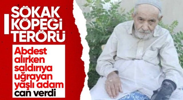 Diyarbakır'da abdest alırken köpeklerin saldırdığı yaşlı adam yaşamını yitirdi