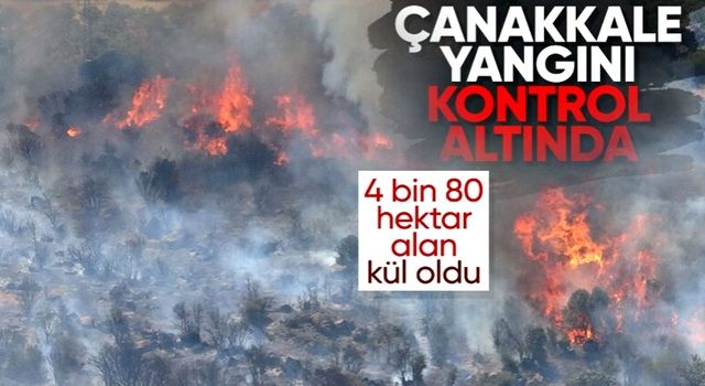 Çanakkale'deki orman yangını kontrol altına alındı