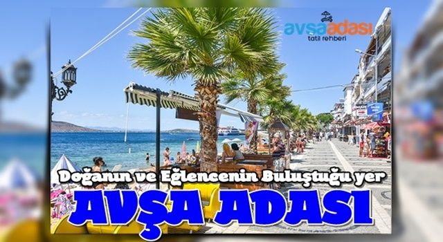 Avşa Adası: Doğanın ve Eğlencenin Buluştuğu Marmara’nın Eşsiz Tatil Köyü