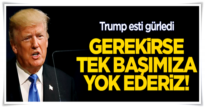 Trump esti gürledi: Gerekirse tek başımıza yok ederiz!