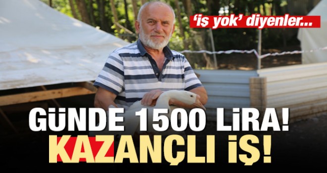 Yumurtadan günde 1500 lira kazanıyor