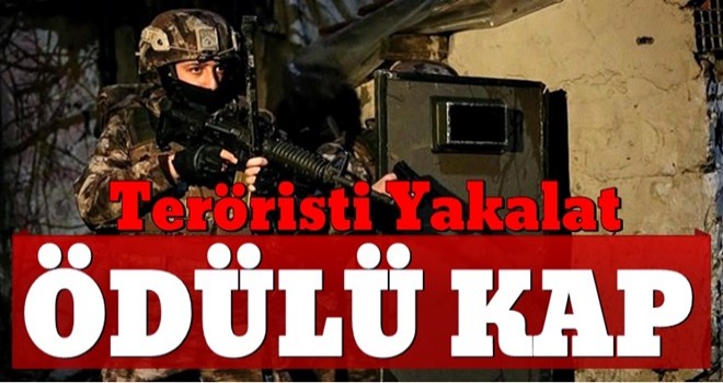 Vatan ödülü