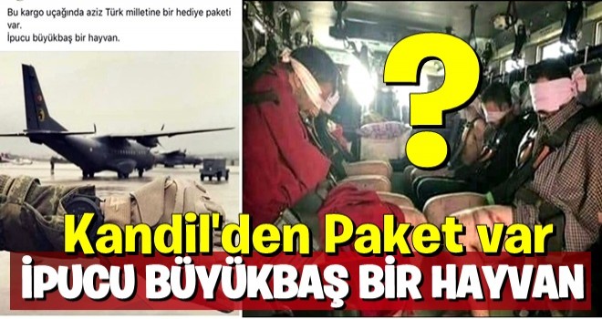 Kandil'den getirilen PKK'lılarla ilgili flaş iddia