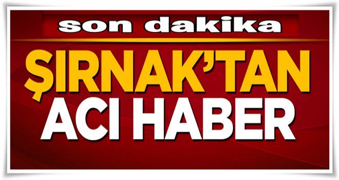 Şırnak'tan kahreden haber: 1 şehit