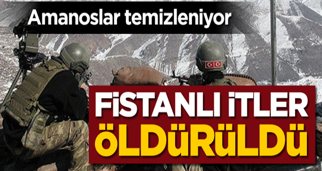 Amanoslar temizleniyor! Fistanlı itler öldürüldü