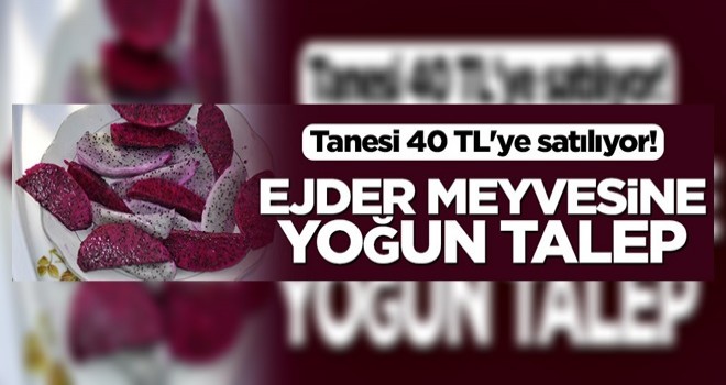 Tanesi 40 TL'ye satılıyor! Ejder meyvesine yoğun talep