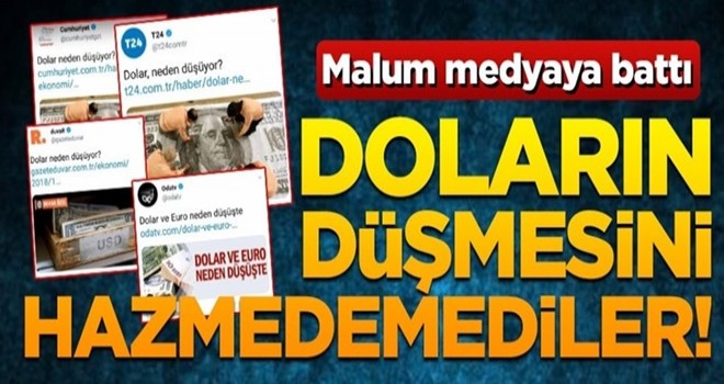 Doların düşmesini hazmedemediler!