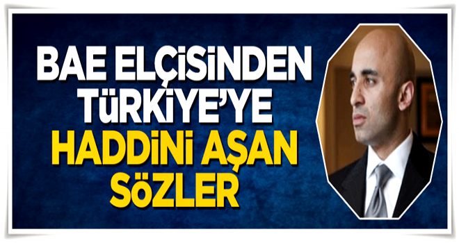 BAE elçisinden Türkiye'ye haddini aşan sözler