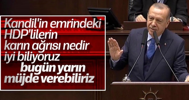 Başkan Erdoğan: Kandil'den talimat alanlarla ilgili müjde var