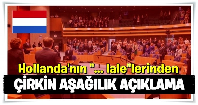 Hollanda parlamentosundan çirkin açıklama