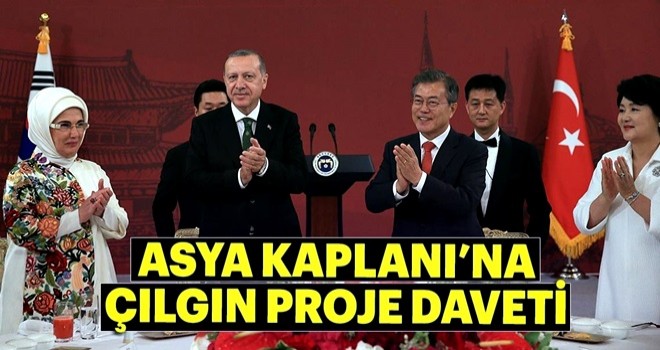 Asya Kaplanı’na çılgın proje daveti