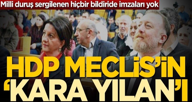 HDP Meclis’in kara yılanı