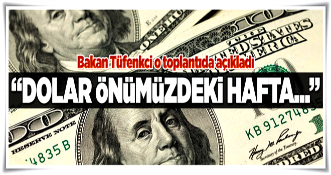 Bakan Tüfenkci'den flaş dolar tahmini! 'Önümüzdeki hafta...' .