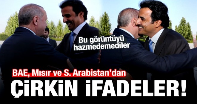 BAE, Mısır ve S. Arabistan'ın Türkiye hazımsızlığı