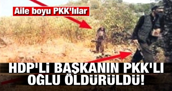 HDP'li başkanın PKK'lı oğlu öldürüldü! Aile boyu PKK'lılar