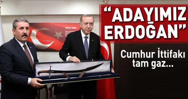 Cumhurbaşkanı Erdoğan Mustafa Destici ile görüştü