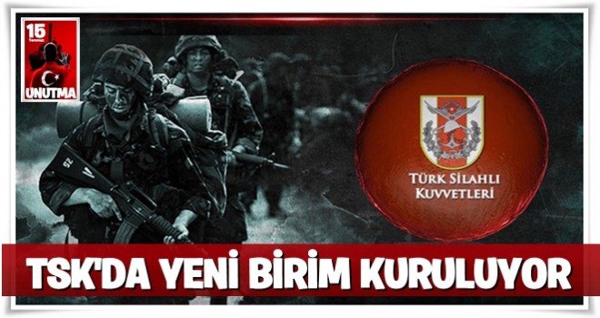 TSK'ya özel istihbarat birimi kurulacak