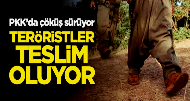 PKK'da çöküş sürüyor... Teröristler teslim oluyor