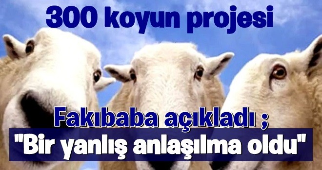 300 koyun projesinden kimler yararlanacak? Bakan açıkladı