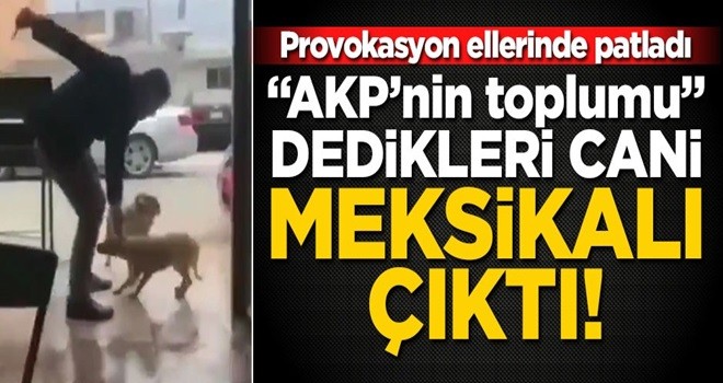 O görüntünün Meksika'da çekildiği ortaya çıktı