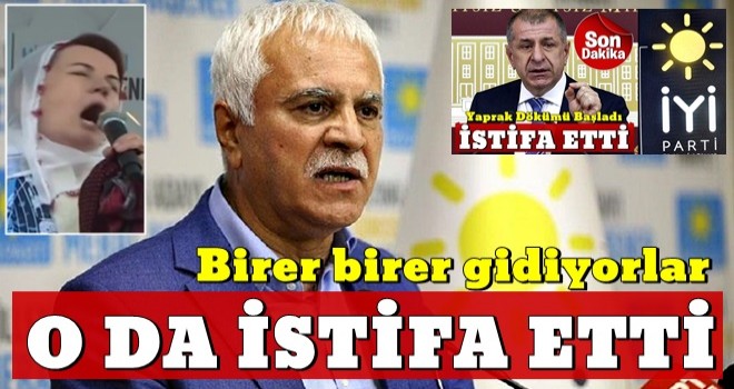 İyi Parti'de Ümit Özdağ'ın ardından Koray Aydın da istifa etti .