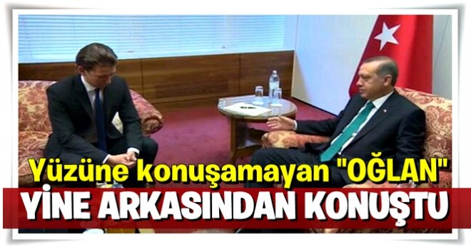 Avusturya Dışişleri Bakanı yine Erdoğan'ın arkasından konuştu