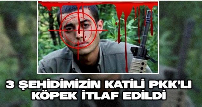 3 şehidimizin katili PKK’lı köpek itlaf edildi