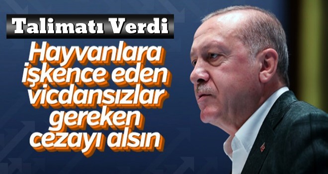 Başkan Erdoğan'dan hayvan hakları yasası talimatı