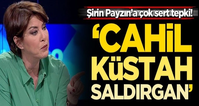 Şirin Payzın'a çok sert tepki: Cahil, küstah, saldırgan