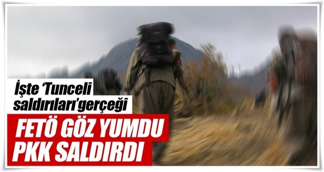 FETÖ göz yumdu, PKK saldırdı