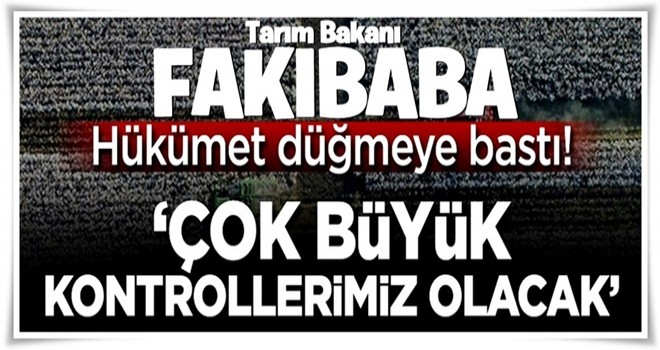 Hükümet düğmeye bastı! 'Çok büyük kontrollerimiz olacak'