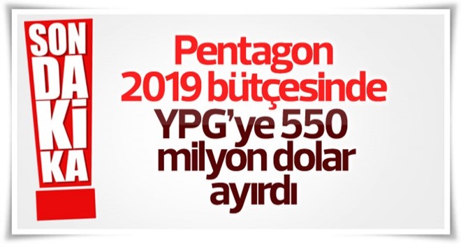 Pentagon 2019 bütçesinde YPG'ye ayırdığı bütçeyi açıkladı