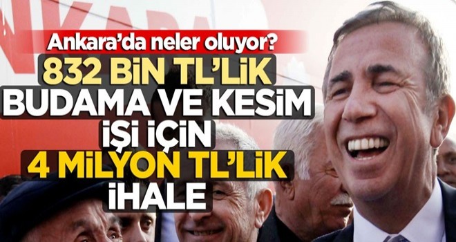 832 bin TL’lik budama ve kesim işi için 4 milyon TL’lik ihale! Ankara’da neler oluyor?