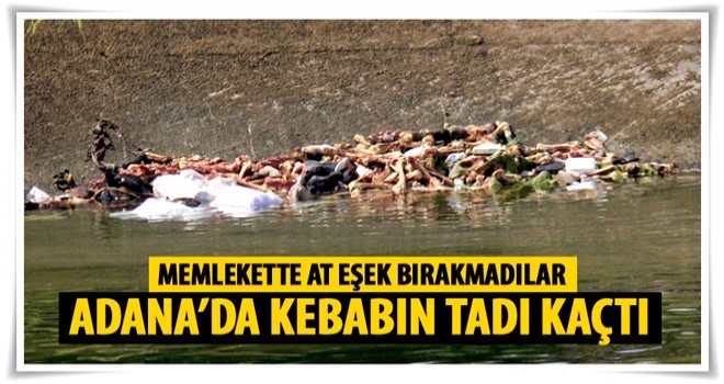 At ve eşek kemiklerini sulama kanalına attılar