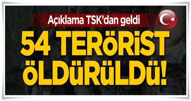 PKK'ya ağır darbe! 54 terörist öldürüldü