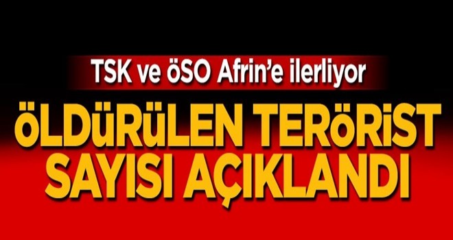 TSK açıkladı! İşte öldürülen terörist sayısı